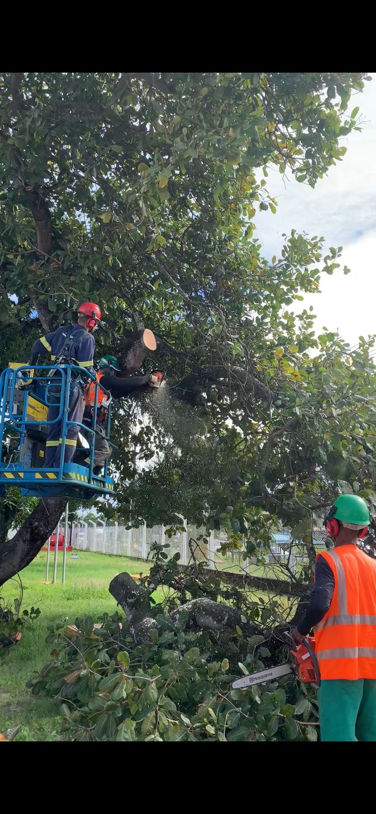 Equipe da Flor do Lácio executando poda e supressão com plataforma elevatória