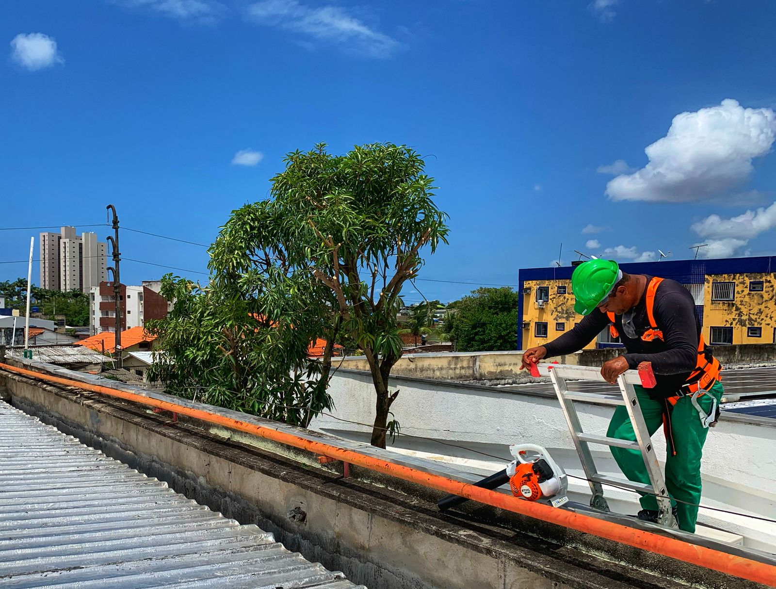 Colaborador da Flor do Lácio executando poda de árvores com EPI, escada e equipamento técnico