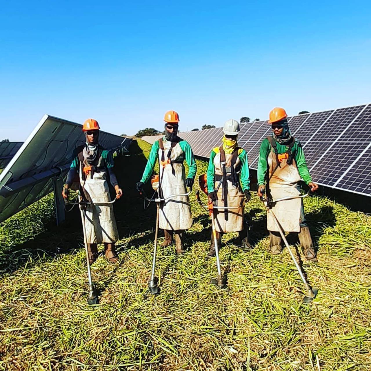 Equipe uniformizada da Flor do Lácio trabalhando em área com placas solares