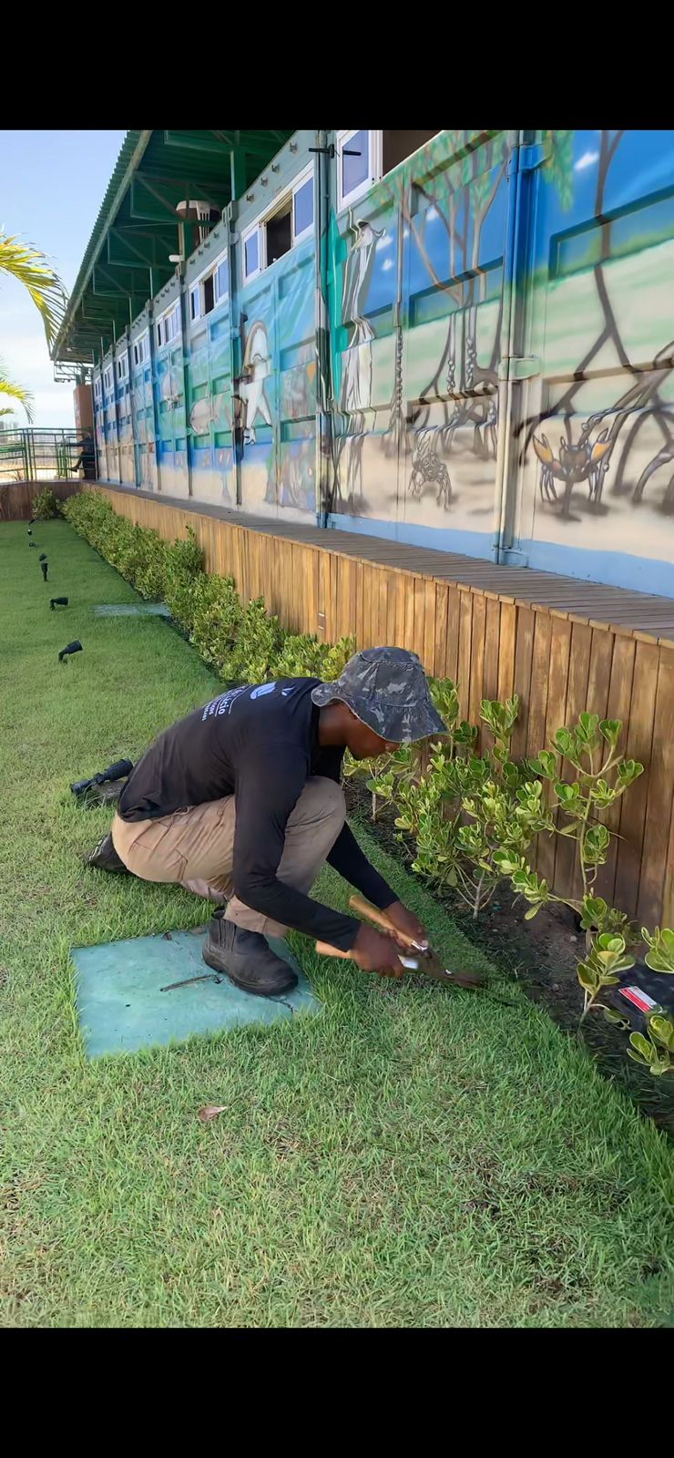 Manutenção de jardim e acabamento de área verde corporativa