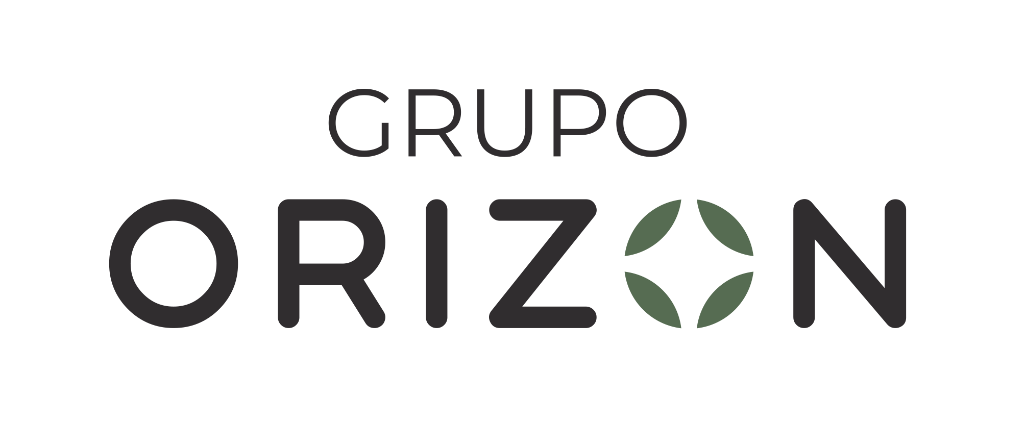 Grupo Orizon